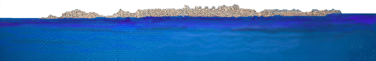 L'ILE AUX OISEAUX PUZZELISE