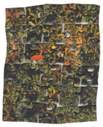 puzzle forcé