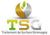 ts3