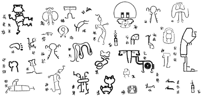 animaux