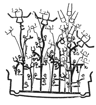 fleurs